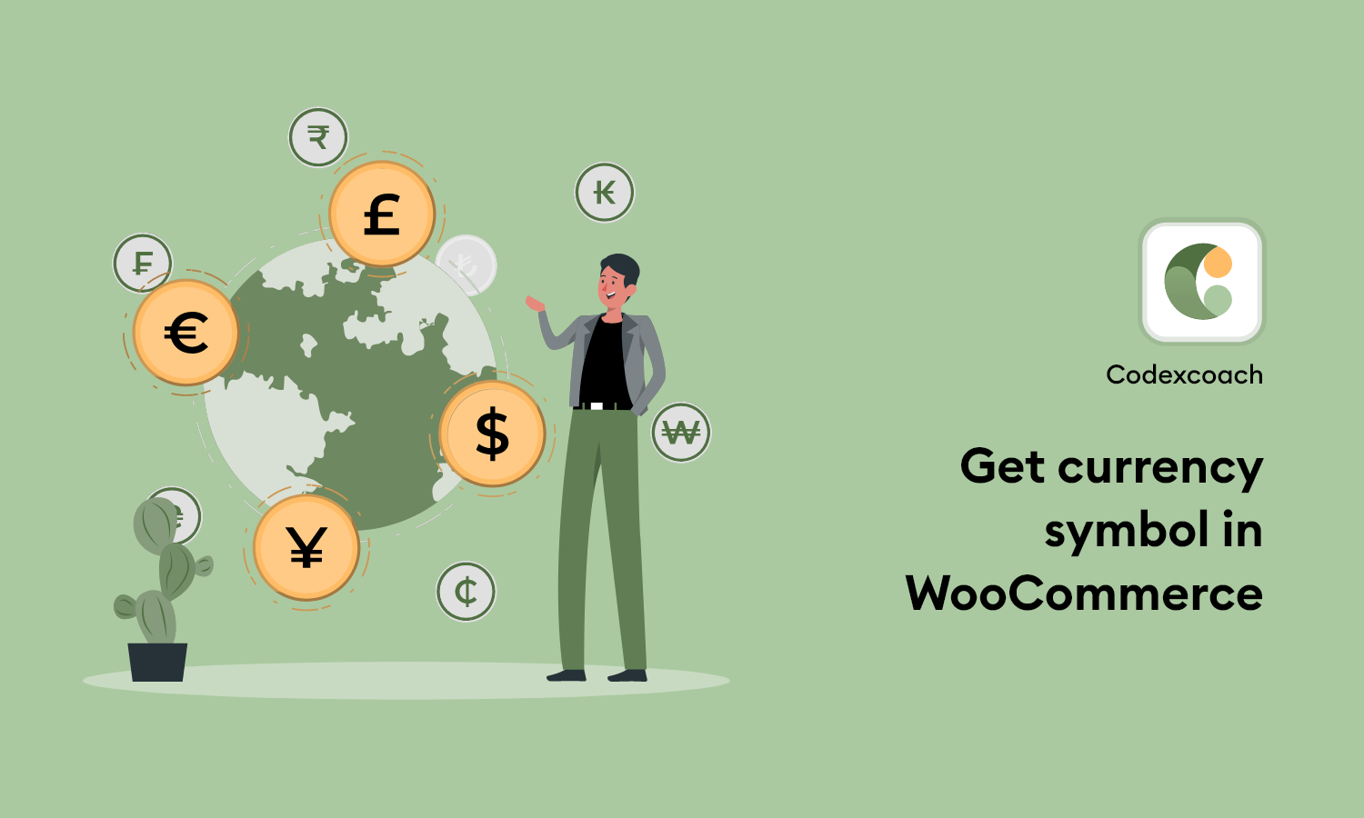 Get currency symbol in WooCommerce