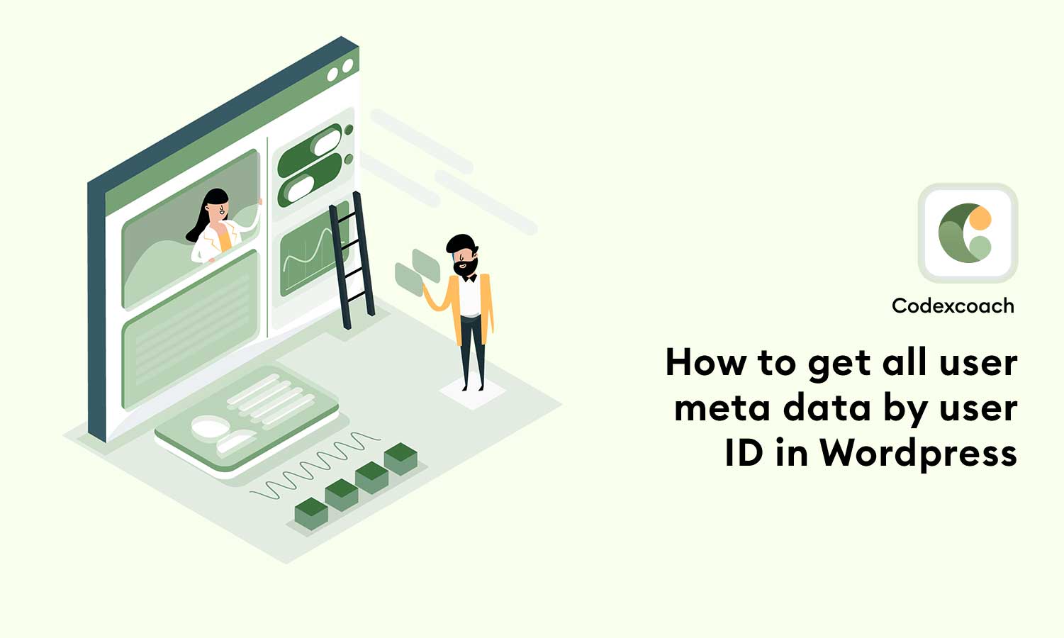 How-to-get-all-user-meta-data-by-user-ID-in-Wordpress