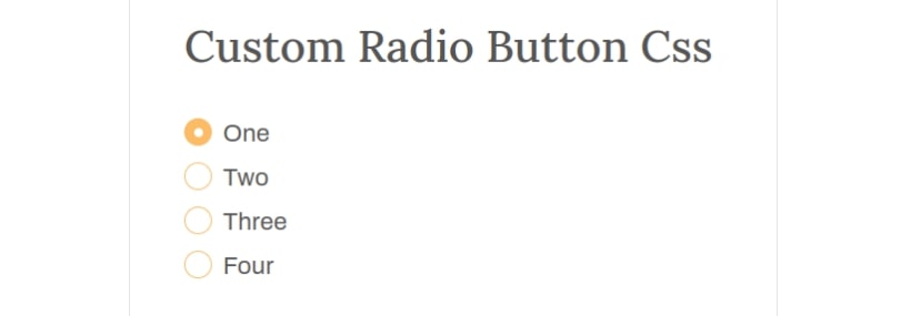Custom Radio button Checkbox Html And CSS