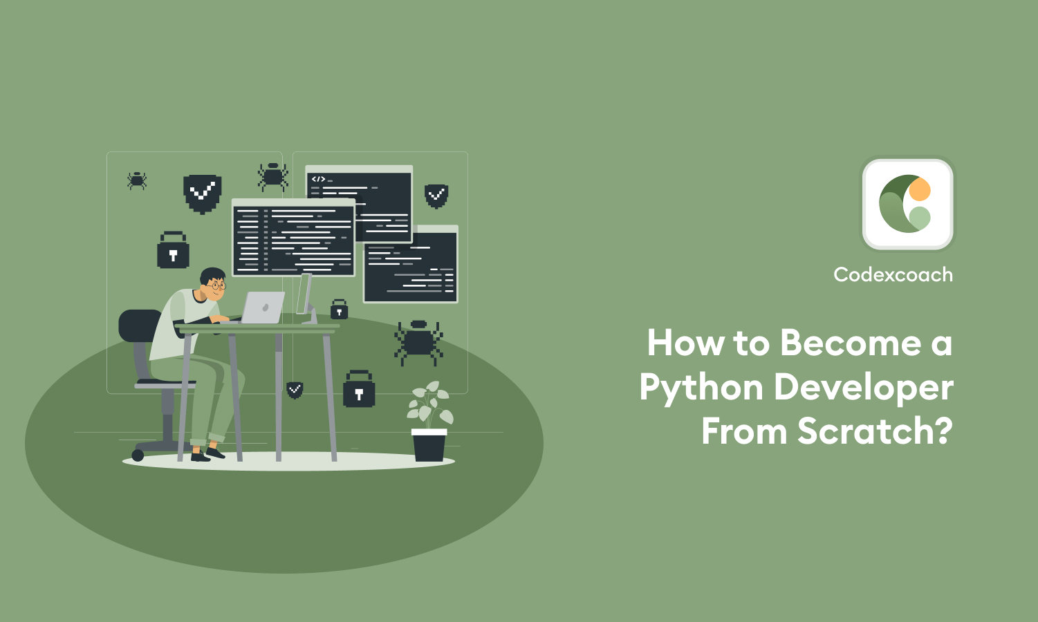 How to Become a Python Developer From Scratch_