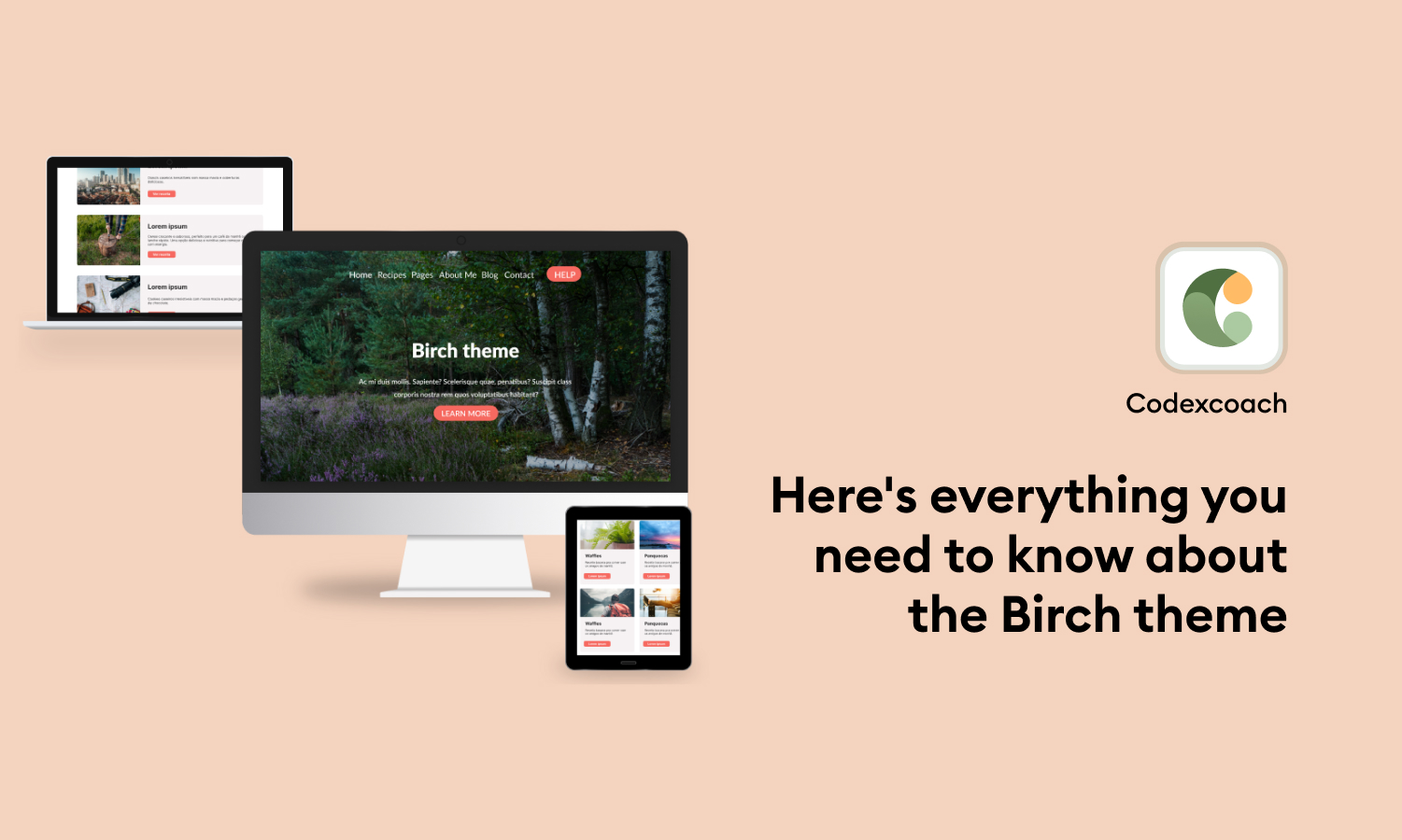 Here's everything you need to know about the Birch theme 3