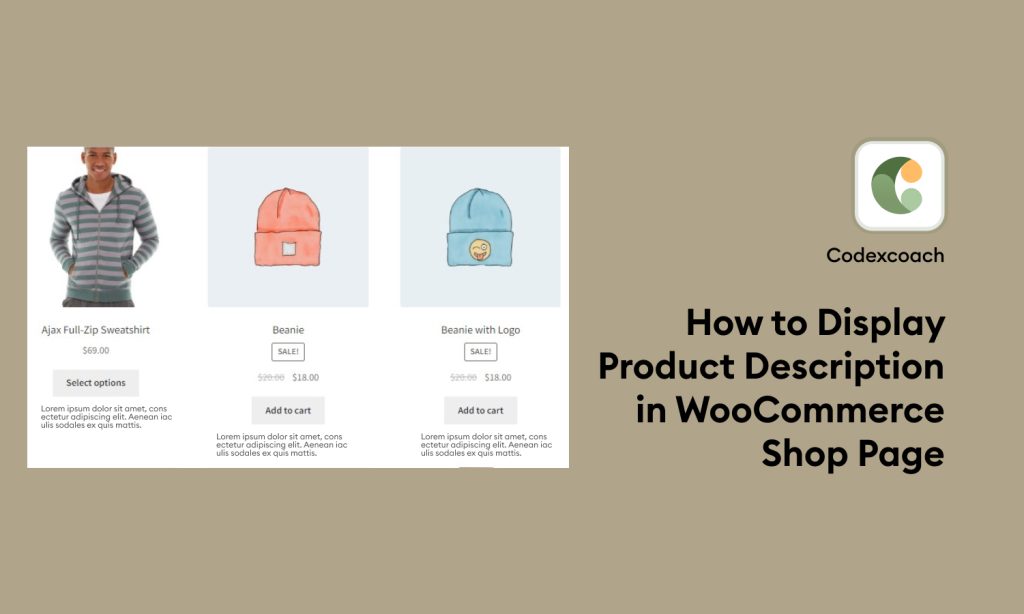 How To Display Product Description On Shop Page CodexCoach
