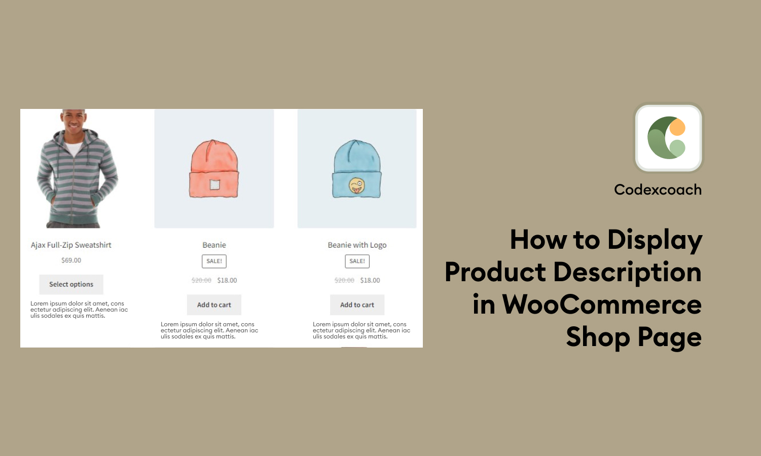 How to Display Product Description in WooCommerce Shop Page