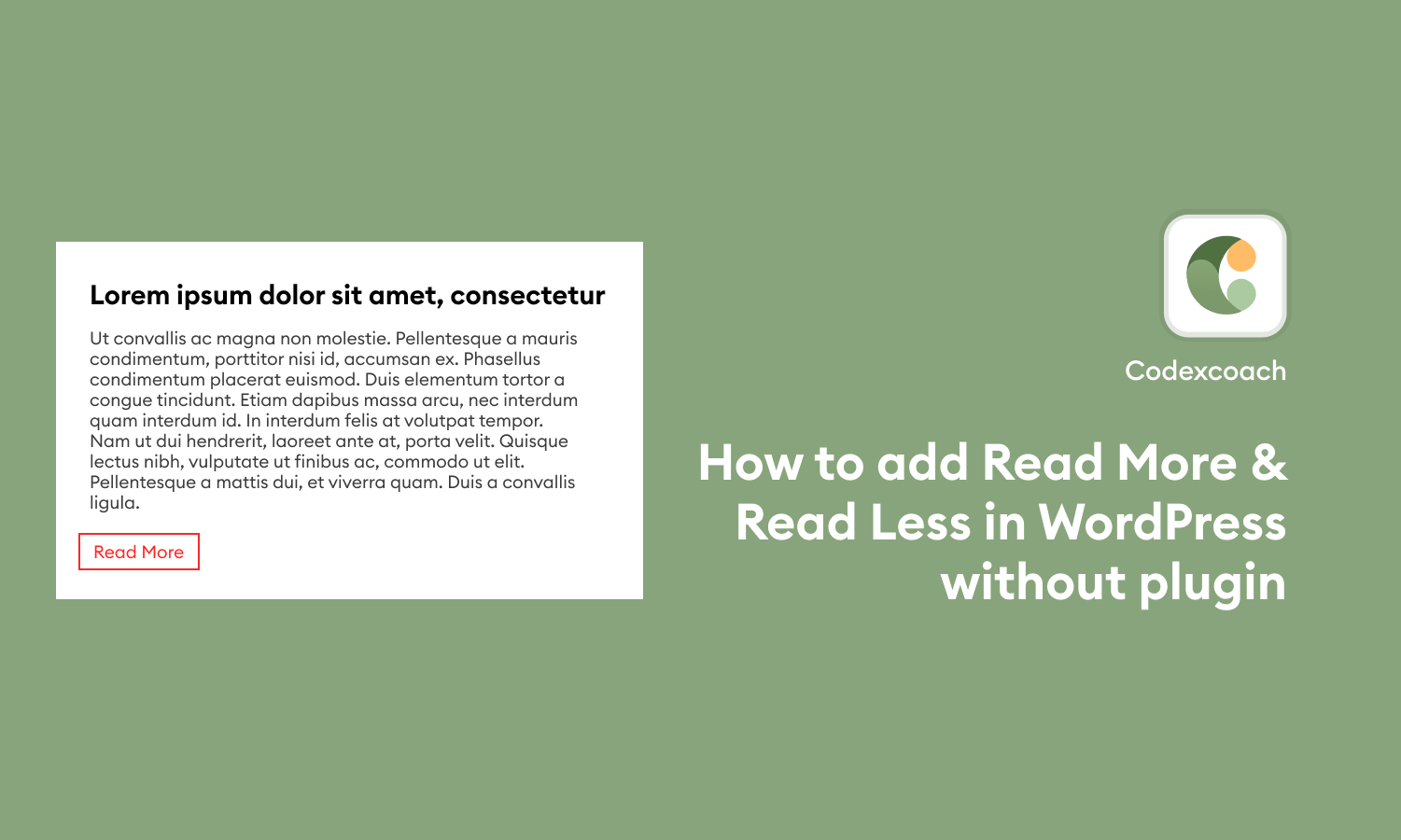 How to add Read More & Read Less in WordPress without plugin