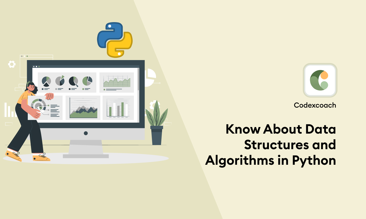 Know About Data Structures and Algorithms in Python
