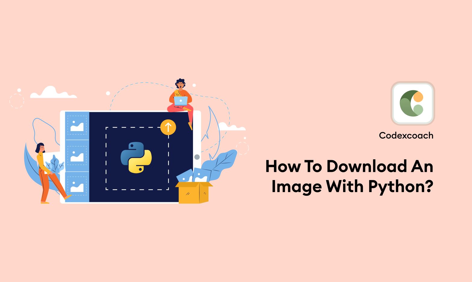 How To Download An Image With Python?
