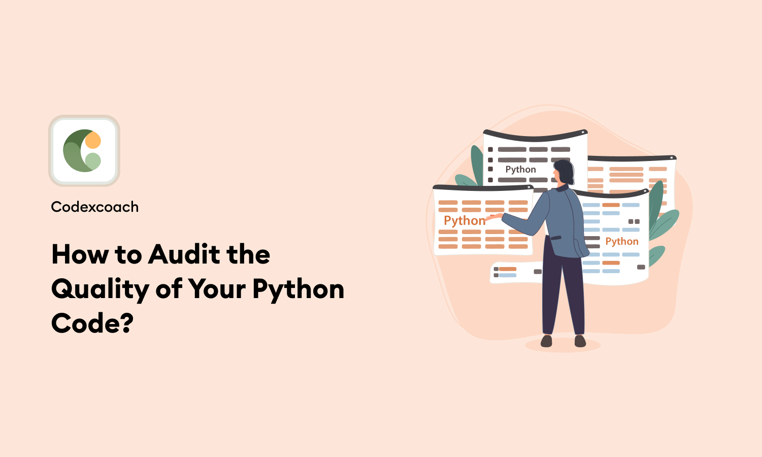 How to Audit the Quality of Your Python Code?