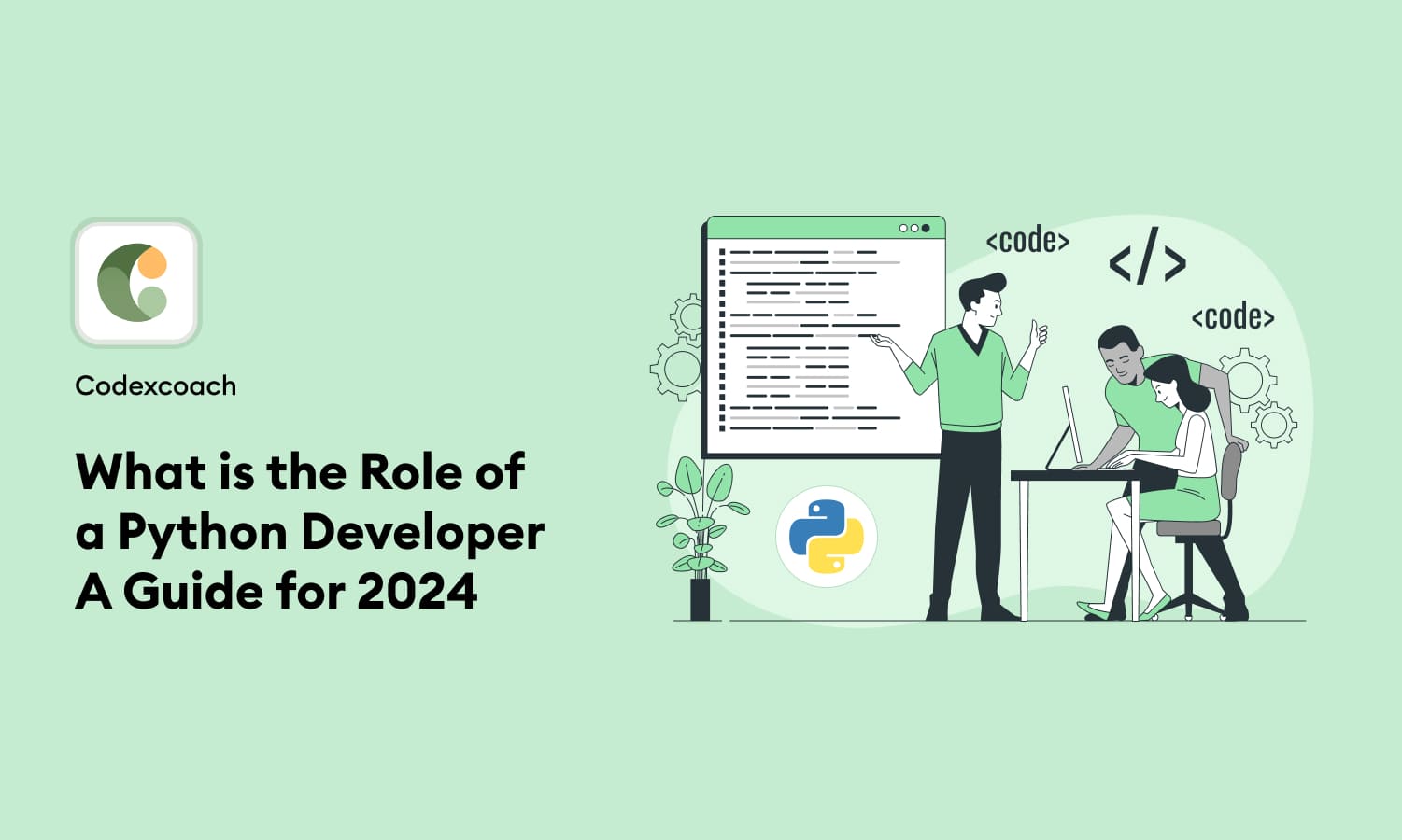 What is the Role of a Python Developer A Guide for 2024